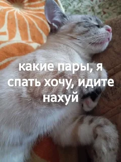 😭 emoji Яша и его фразы Telegram sticker 15 of 15