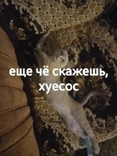 🥳 emoji Яша и его фразы Telegram sticker 13 of 15