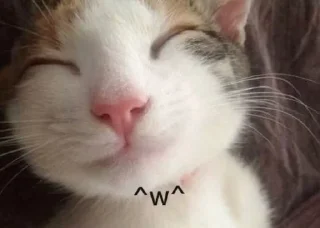 🌟 emoji сосиски Telegram sticker 6 of 114