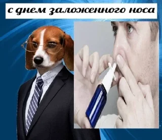 🌟 emoji Какой сегодня праздник Telegram sticker 21 of 120