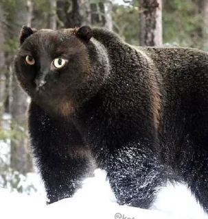 🐻 emoji заблевыши Telegram sticker 21 of 120