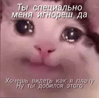 😥 emoji гг Telegram sticker 15 of 18