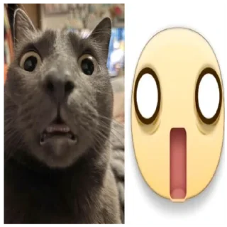 😱 emoji cute animals 💗 Telegram sticker 5 of 59