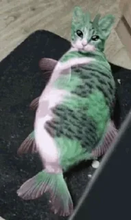 Sticker from Кот инопланетянин/cat alien
