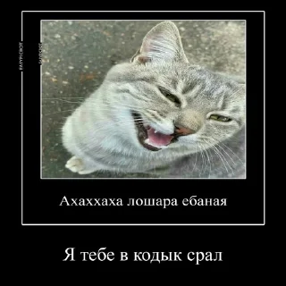 😃 emoji Сын шлюхи Telegram sticker 7 of 24