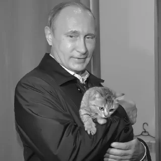 🚔 emoji #путин meme «🚔 by @lumicore_present Telegram sticker 1 of 34