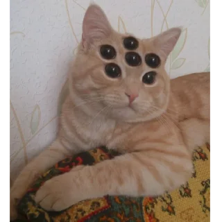 👁 emoji кочерыжики Telegram sticker 8 of 99