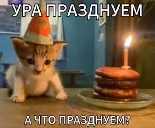 🥳 emoji Супер котики Telegram sticker 24 of 37