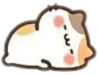 😻 emoji котики @forewt Telegram sticker 21 of 28
