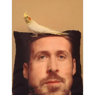🦜 emoji Gosling Telegram sticker 21 of 26
