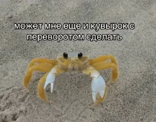 🌟 emoji мудяра Telegram sticker 12 of 119