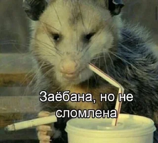 🚬 emoji Китикет 💓 Telegram sticker 13 of 60