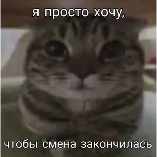 😭 emoji муд:жизнь Telegram sticker 23 of 26