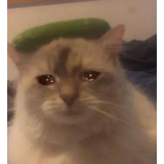 😢 emoji муд:жизнь Telegram sticker 8 of 26