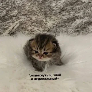 😞 emoji муд:жизнь Telegram sticker 17 of 26