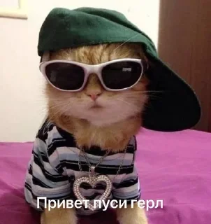 😎 emoji муд:жизнь Telegram sticker 20 of 26