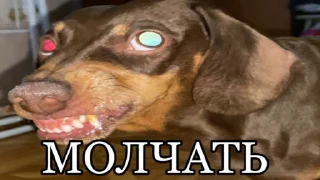 🤬 emoji люсьен Telegram sticker 22 of 51
