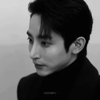 🌟 emoji kastil veyron - lee Soo hyuk ( @v1yron ) Telegram sticker 13 of 43