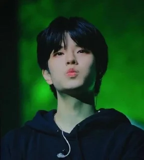 🧚 emoji Skz Telegram sticker 9 of 15