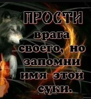 🌟 emoji Каспийский волк Telegram sticker 22 of 34