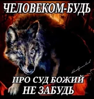🌟 emoji Каспийский волк Telegram sticker 21 of 34