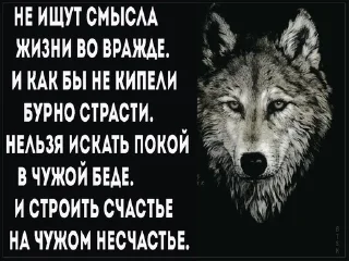 🌟 emoji Каспийский волк Telegram sticker 16 of 34