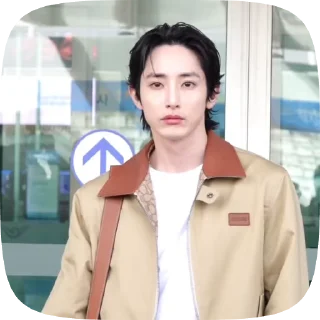 Sticker from ☆ #leesoohyuk @mitskvn