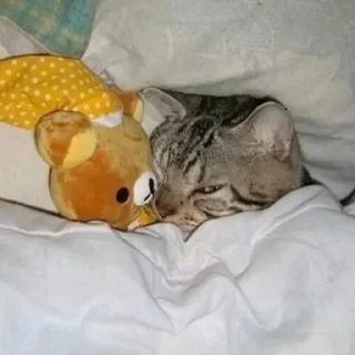 😴 emoji Тварини Telegram sticker 7 of 116