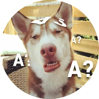 😧 emoji Емоційні тварини Telegram sticker 23 of 38