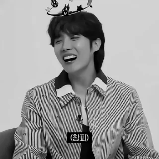 🦂 emoji ![🦂]¡Hoseok by @rokkihelp B&W Telegram sticker 13 of 28