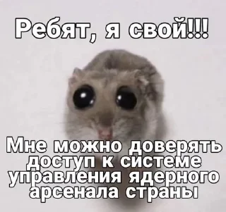 🥰 emoji в рот ебал названия придумыват Telegram sticker 21 of 75