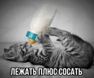🖕 emoji в рот ебал названия придумыват Telegram sticker 23 of 75