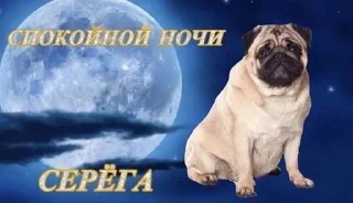 🌙 emoji в рот ебал названия придумыват Telegram sticker 9 of 75