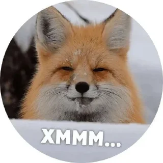 🌟 emoji LisaNika Telegram sticker 15 of 28