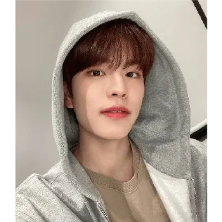 ❤️ emoji Seungmin Telegram sticker 6 of 74