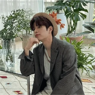 ❤️ emoji Seungmin Telegram sticker 23 of 74