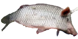 🐷 emoji Троєщинський двіж Telegram sticker 11 of 15