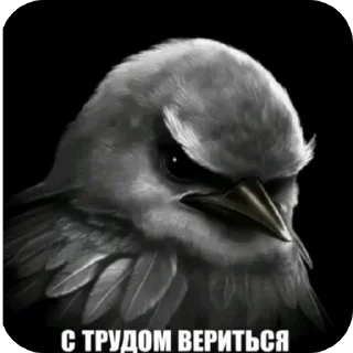 🐦 emoji Птычкы Telegram sticker 16 of 58
