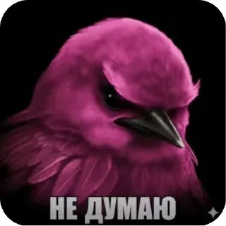 🌸 emoji Птычкы Telegram sticker 24 of 58