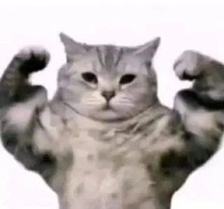 💪 emoji снаффлсы Telegram sticker 5 of 67