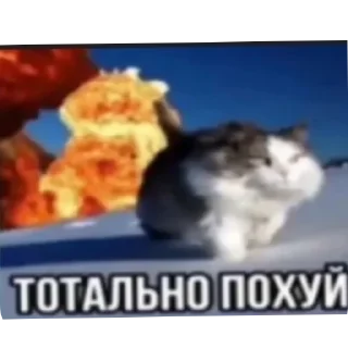 💣 emoji мемы тундры мобайл Telegram sticker 24 of 120