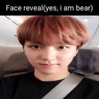 🐻 emoji чозанах Telegram sticker 9 of 59