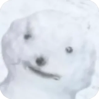 😐 emoji черный пакет с Петриком Telegram sticker 21 of 83