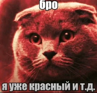 🌟 emoji щовэл Telegram sticker 24 of 40