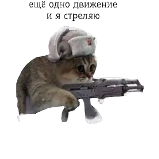 😀 emoji catrp Telegram sticker 4 of 6