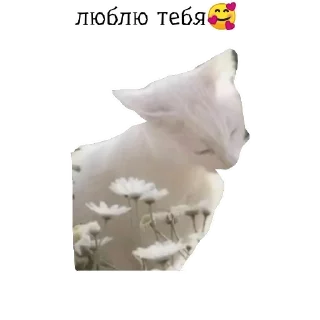 😊 emoji catrp Telegram sticker 5 of 6