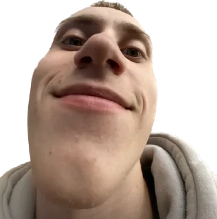 🙂 emoji Говоруна Telegram sticker 11 of 14