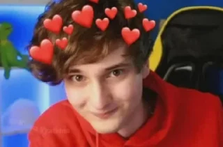 Sticker from данкарушка💗