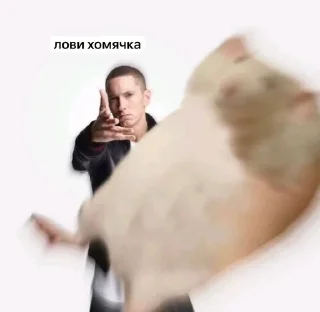 🐹 emoji смешной пакет Telegram sticker 14 of 103