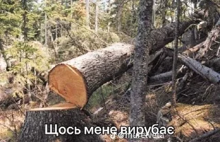 🌟 emoji смешной пакет Telegram sticker 19 of 103